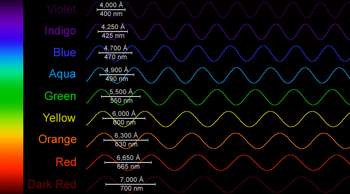 The wavelengths of different colors in the visible spectrum.